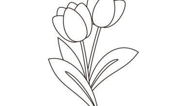 Boyanabilir Zarif Çiçek Çizimi - Lale Desenli Kontur Çizim Boyama Sayfası