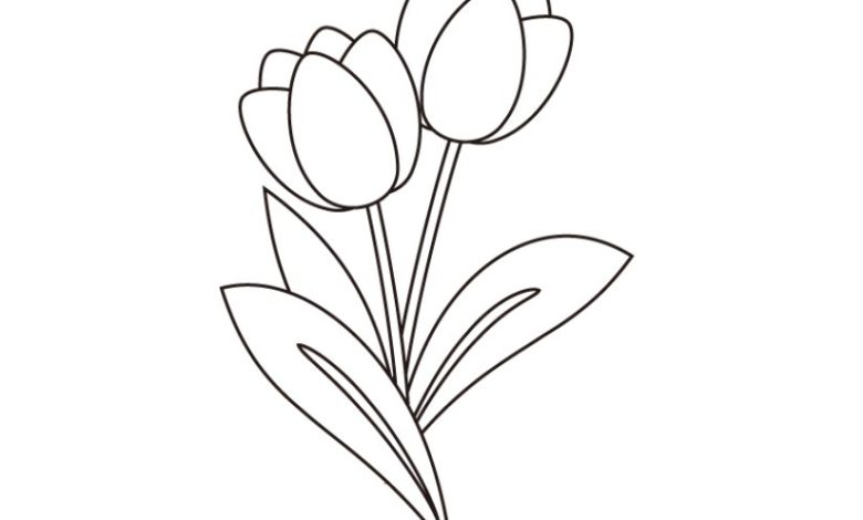 Boyanabilir Zarif Çiçek Çizimi - Lale Desenli Kontur Çizim Boyama Sayfası