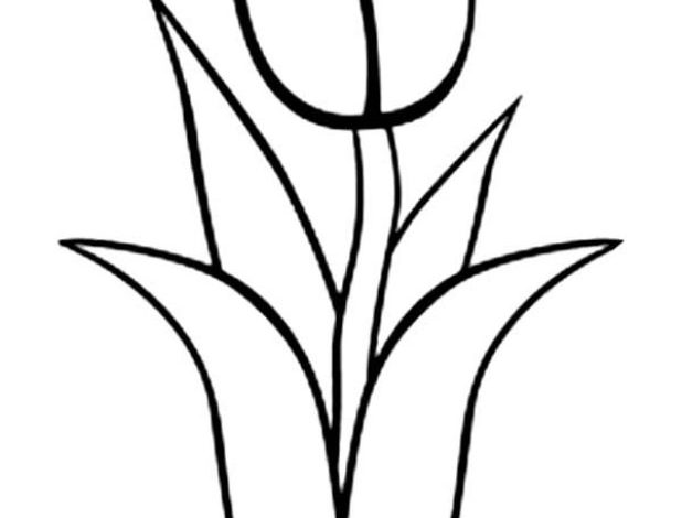 Basit Lale Çiçeği Boyama Sayfası - Çocuklar İçin Ücretsiz Çiçek Boyama