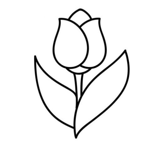 Lale Çiçeği Boyama Sayfası Basit ve Şık Çizim