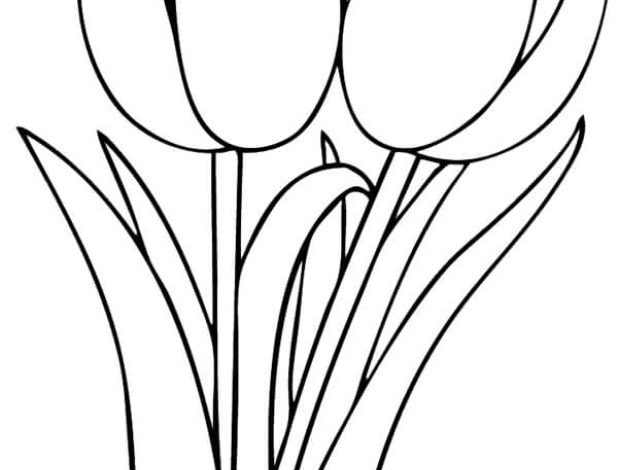 İki Lale Çiçeği Boyama Sayfası - Detaylı Lale Çizimi