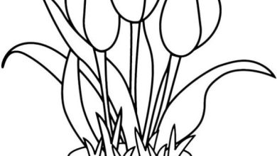 Lale Çiçeği Boyama Sayfası Dekoratif Saksıda Lale Çiçeği Şablonu
