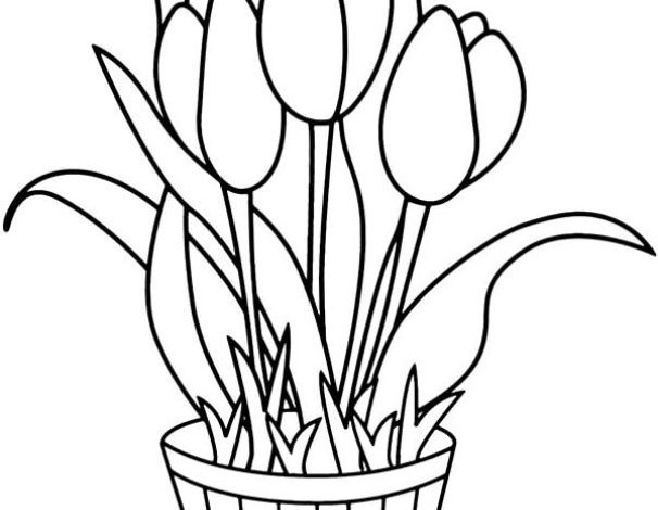 Lale Çiçeği Boyama Sayfası Dekoratif Saksıda Lale Çiçeği Şablonu