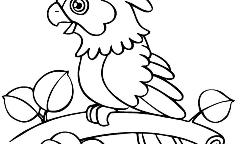 Boyama Sayfası Dal Üzerinde Papağan