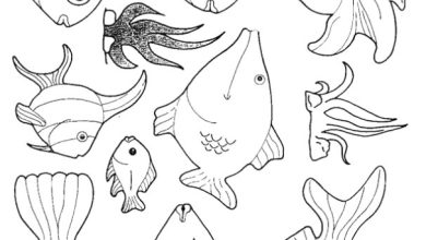 Çocuklar İçin Eğlenceli Deniz Canlıları Boyama Sayfası
