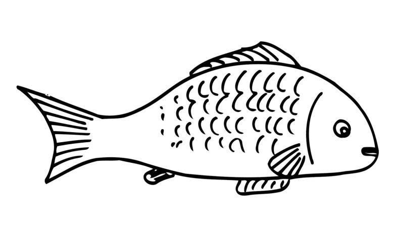 Karpuz Desenli Balık Boyama Sayfası - Çocuklar İçin Eğlenceli ve Eğitici Etkinlik