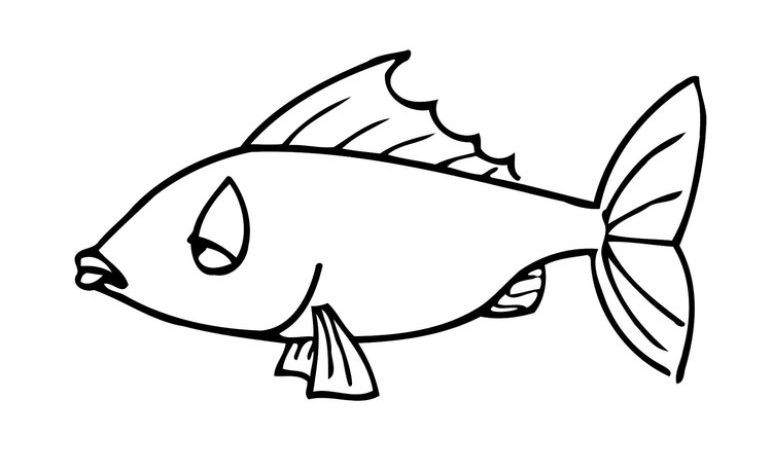 Sevimli Balık Boyama Sayfası - Eğlenceli ve Eğitici Balık Çizimi