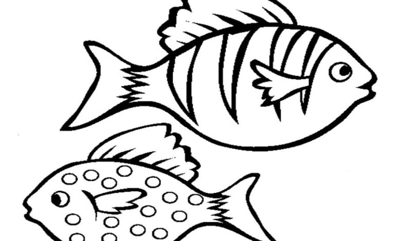 Çizgili ve Benekli Balıkların Şirin Çizimi - Boyama Sayfası