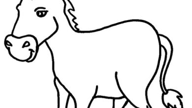 Sevimli Eşek Boyama Sayfası - Çocuklar İçin Hayvan Boyama Sayfası