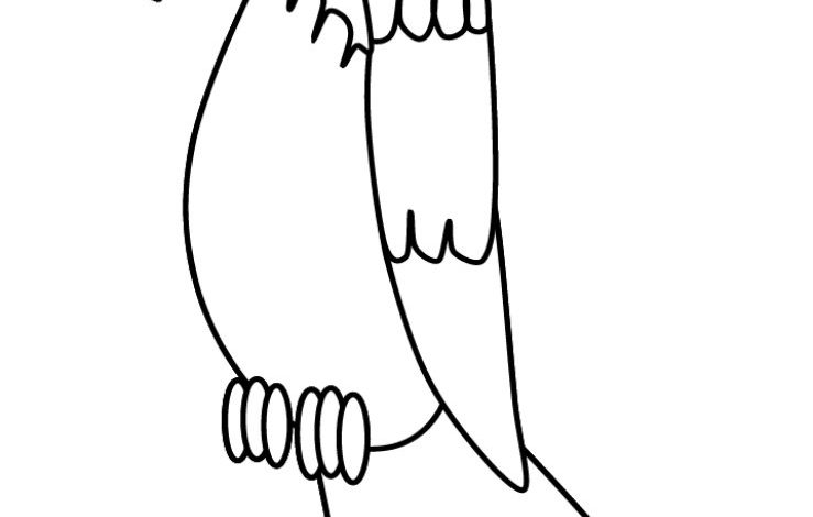 Papağan Boyama Sayfası - Çizgi Desenli Papağan Boyama Sayfası için Ücretsiz İndir