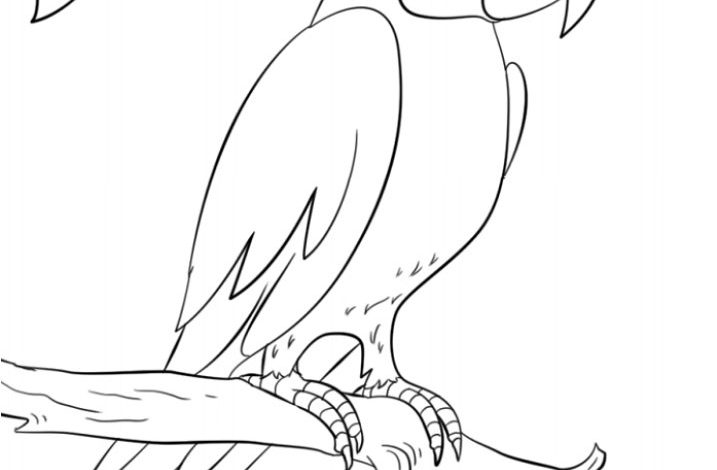 Papağan Boyama Sayfası Ağaç Dalında Oturan Papağan