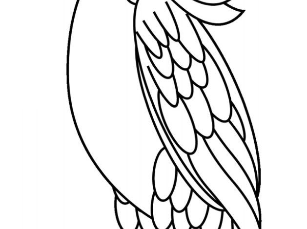 Papağan Boyama Sayfası - Ayrıntılı Tüylü Kuş Görseli
