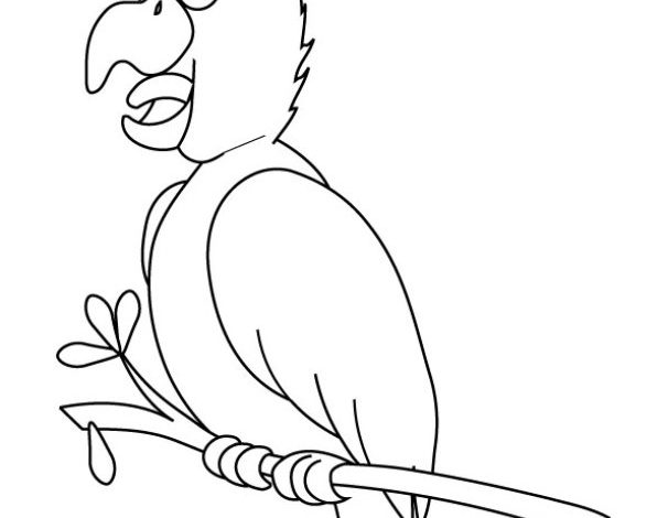 Sevimli Karikatür Papağan Boyama Sayfası - Çocuklar İçin Eğlenceli ve Öğretici