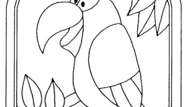 Eğlenceli Papağan Boyama Sayfası
