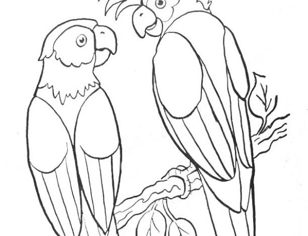 İki Papağanla Tropik Ağaç Dalı Boyama Sayfası