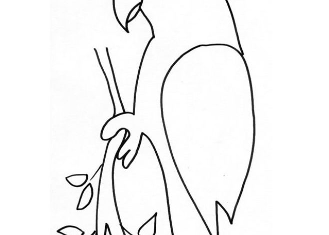 Papağan Boyama Sayfası Ağaç Dallarında Tünenen Kuş Official