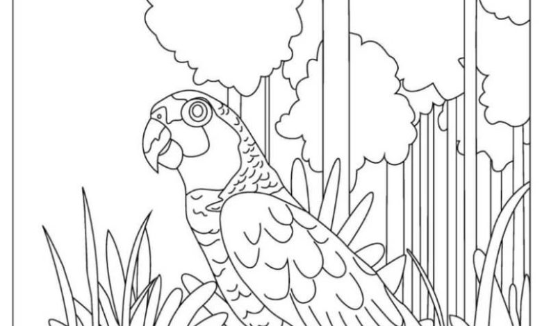 Tropikal Ormanda Papağan Boyama Sayfası - Detaylı Çizim