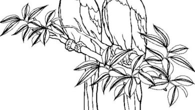 Papağan Çiftinin Ağaç Dalında Oturduğu Boyama Sayfası