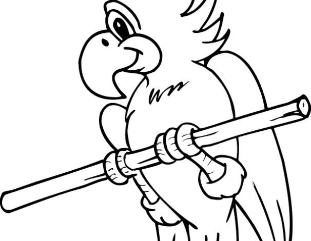 Eğlenceli Papağan Boyama Sayfası - Papağan Çizimi ve Detayları