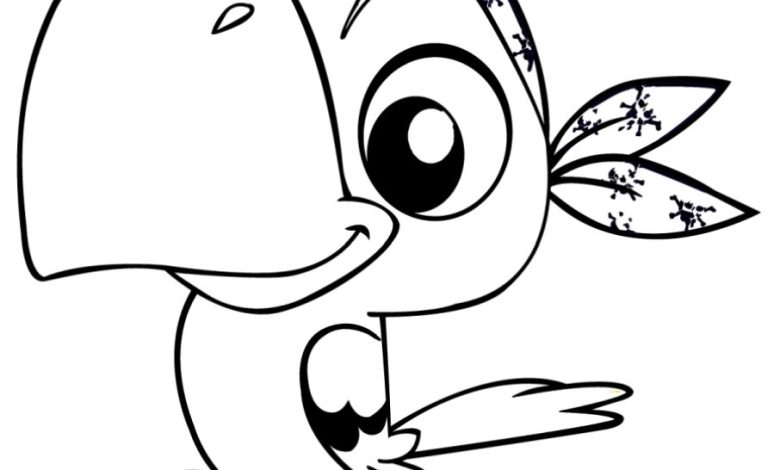 Çizgi Film Tarzı Korsan Papağan Boyama Sayfası