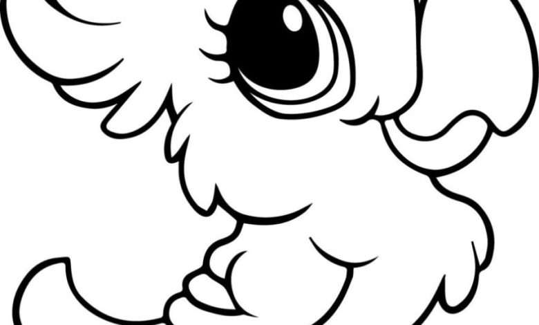 Sevimli Papağan Boyama Sayfası - Çocuklar İçin Eğlenceli Boyama Aktivitesi