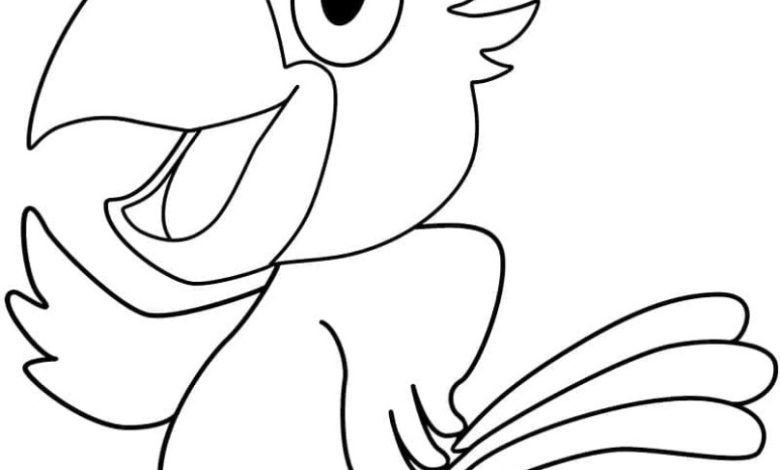 Neşeli Papağan Boyama Sayfası