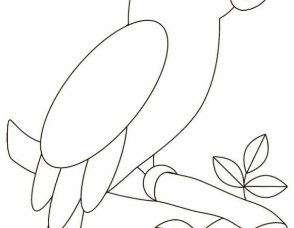 Papağan Boyama Sayfası Dal Üzerinde Oturan Sevimli Papağan