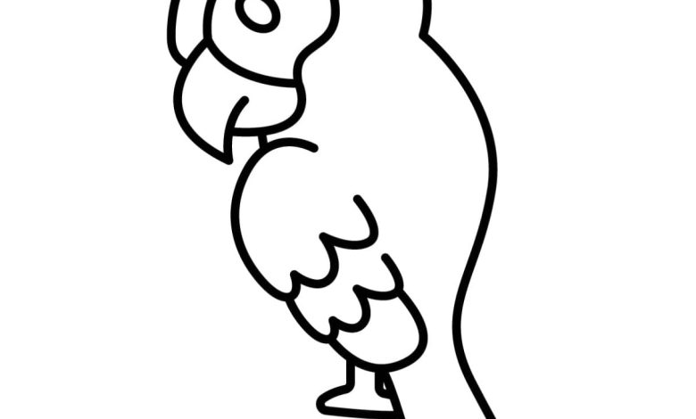 Basit Bir Papağan Boyama Sayfası