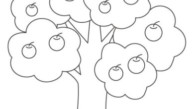 Elma Ağacı Boyama Sayfası
