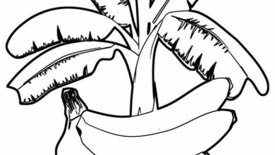 Banana Ağacı Boyama Sayfası Çocuklar için Eğlenceli ve Öğretici Günlük Aktivite