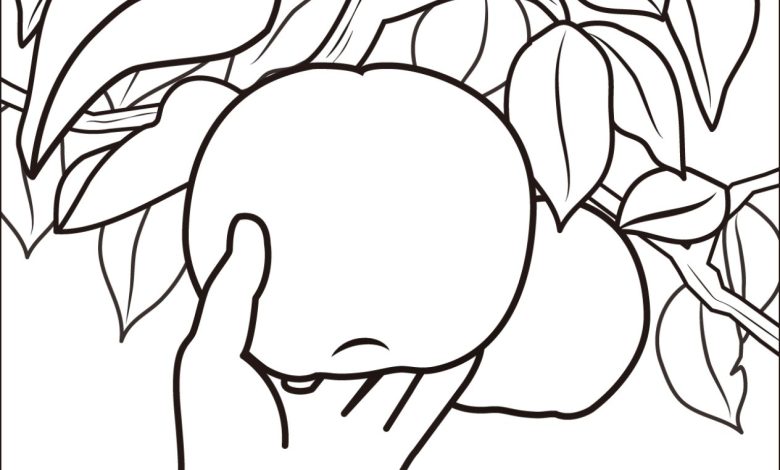 Elmayla Dolu Ağaçtan Elma Toplama Boyama Sayfası