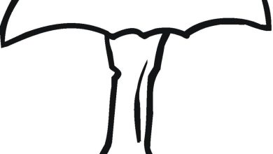 Elma Çöpü Boyama Sayfası - Eğitici ve Eğlenceli Çocuk Etkinliği