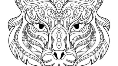 Mandala Tarzı Kaplan Yüzü Boyama Sayfası - Detaylı ve Dinlendirici