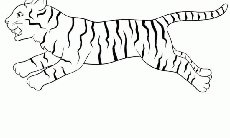 Zıplayan Kaplan Boyama Sayfası