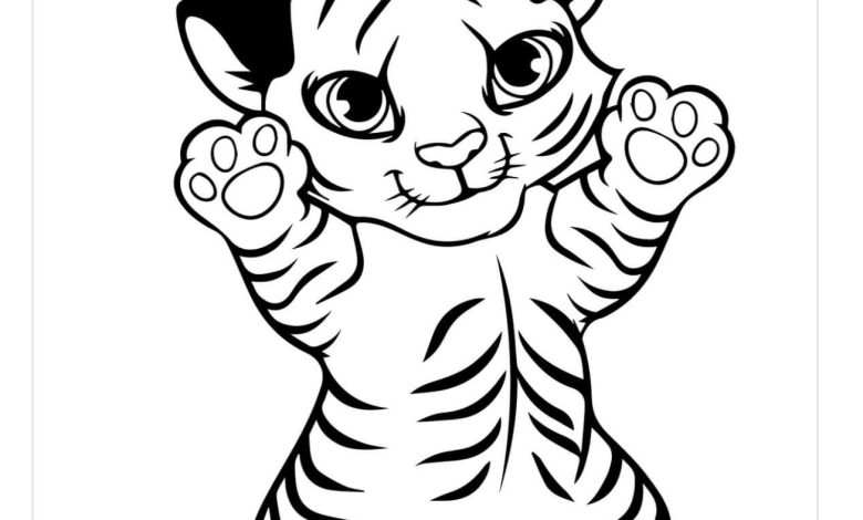 Sevimli Kaplan Yavrusu Boyama Sayfası - Çocuklar İçin Eğlenceli Boyama Kitabı