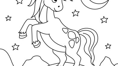 Eğlenceli Unicorn Boyama Sayfası - Çocuklar İçin Gece Temalı Boyama Sayfası