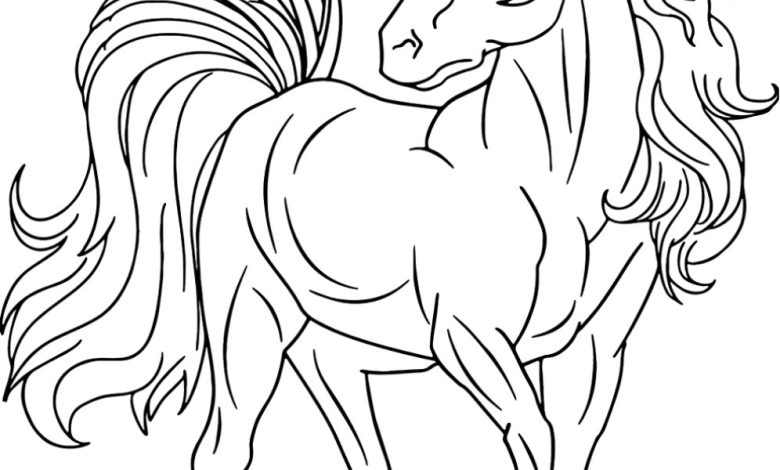 Unicorn Boyama Sayfası – Renkli Fantastik Dünyaya Yolculuk