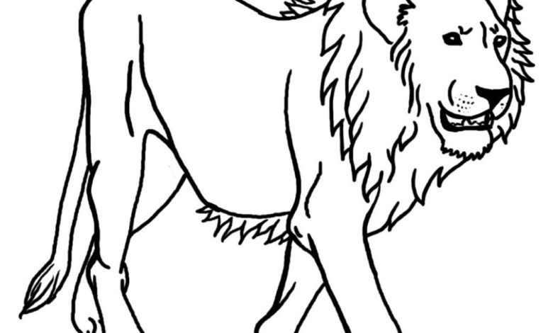 Vahşi Afrika Aslanı Boyama Sayfası