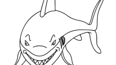Sevimli Köpekbalığı Boyama Sayfası