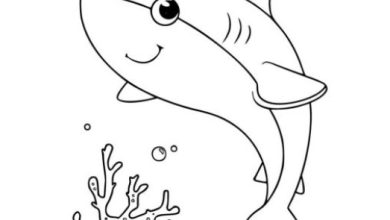 Sevimli Köpekbalığı Boyama Sayfası - Çocuklar İçin Eğlenceli Deniz Temalı Boyama