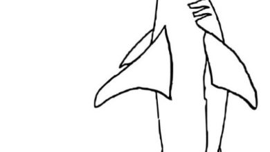 Çekiç Başlı Köpek Balığı Boyama Sayfası - Eğlenceli Deniz Hayvanları