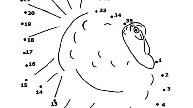 Bağlantı Noktalarıyla Hindi Boyama Sayfası Eğlenceli ve Eğitici