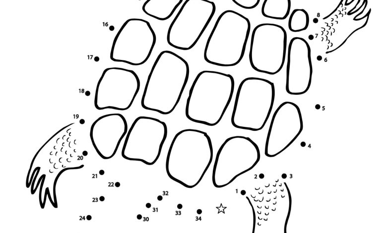 Kaplumbağa Nokta Birleştirme Boyama Sayfası Çocuklar İçin Eğlenceli Aktivite