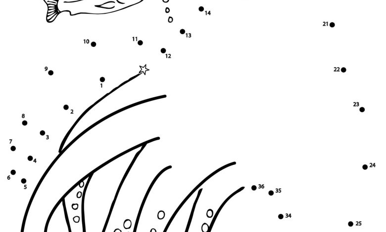 Denizaltı Temalı Nokta Birleştirme Boyama Sayfası Balık ve Yosunlar