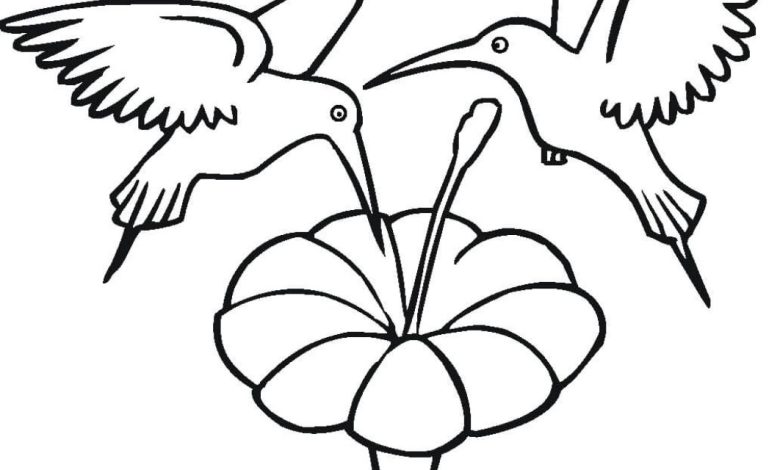 İki Sinekkuşu ve Çiçek Boyama Sayfası - Çocuklar ve Yetişkinler için Eğlenceli Aktivite