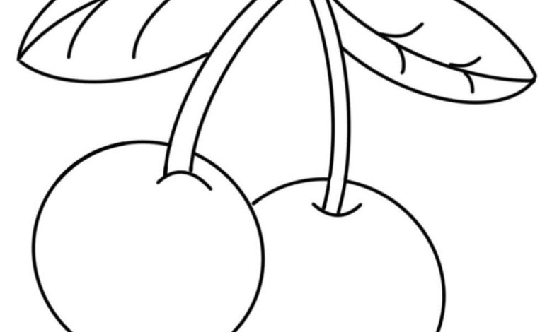 Kiraz Çizimi Boyama Sayfası - Detaylı ve Eğlenceli Boyama