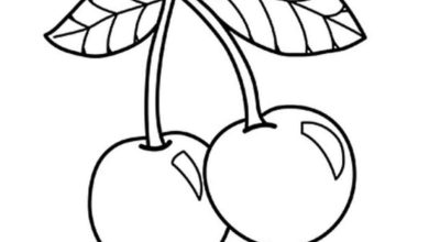 Kiraz Boyama Sayfası - Çocuklar İçin Eğlenceli ve Yaratıcı Aktivite