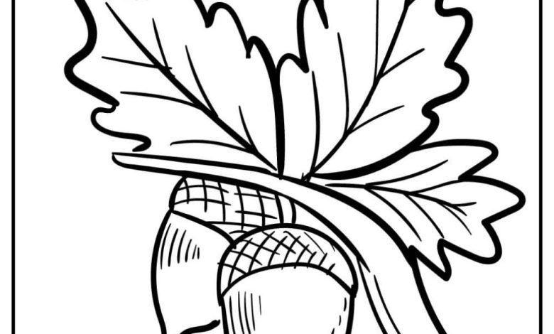 Meşe Palamudu ve Yaprakları Boyama Sayfası - Doğal Motifler