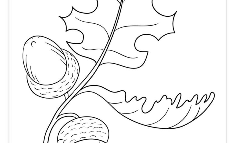 Meşe Palamudu ve Yaprakları Boyama Sayfası - Doğal Detaylar İçin Mükemmel