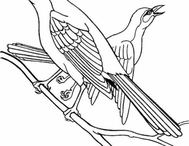 İki Kuşun Ağaç Dalındaki Boyama Sayfası